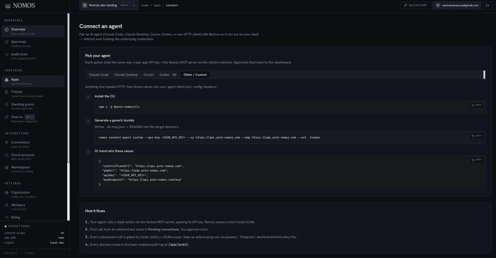 Connect an agent page, Other/Custom tab, with generate-bundle and hand-wire env-values options